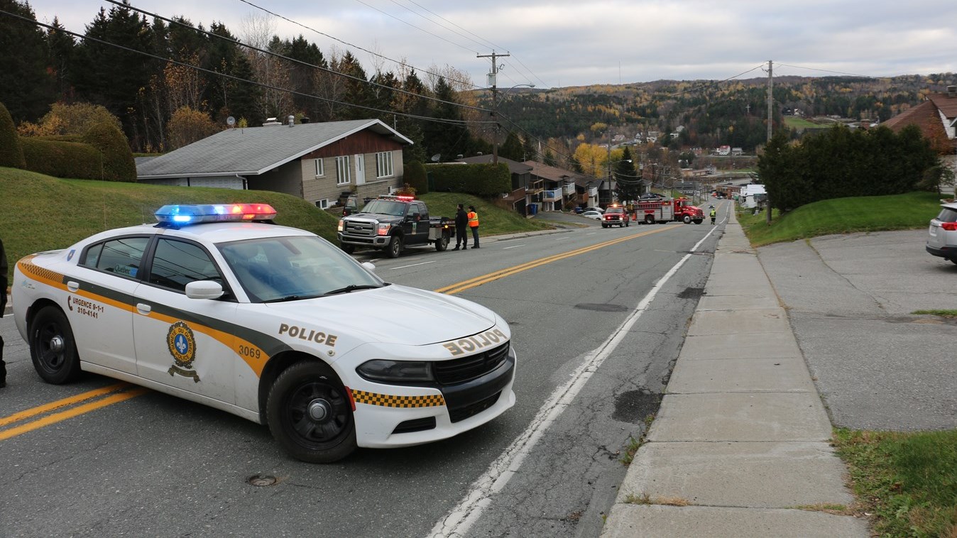 Un orignal en cavale à Beauceville