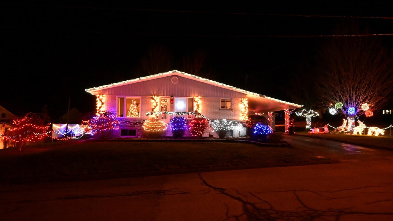 Lyne Lapierre décore son terrain avec des conceptions essentiellement faites à la main