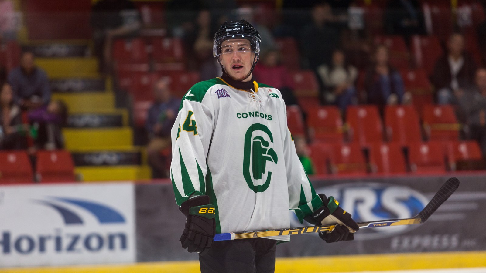 Beaucoup de caractère chez les Condors