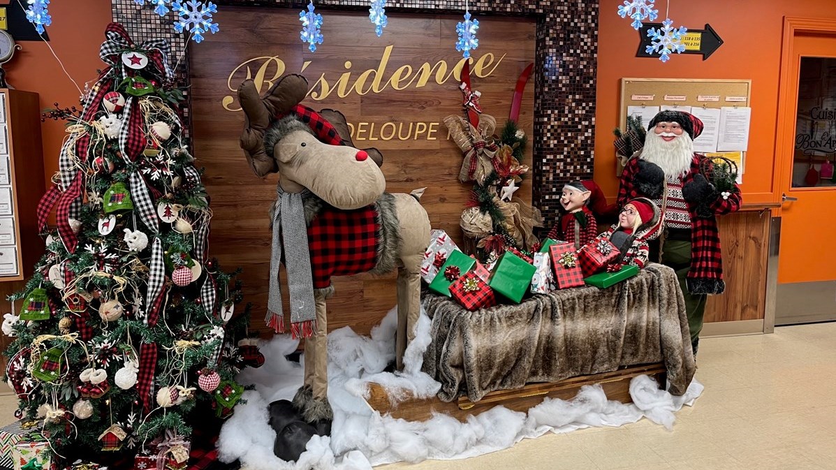 Photorama 1 : la féérie de Noël par les Beaucerons