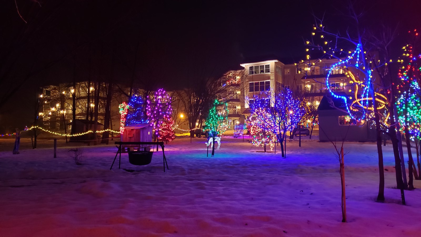 Le terrain de Jeannine Poirier brille de mille feux