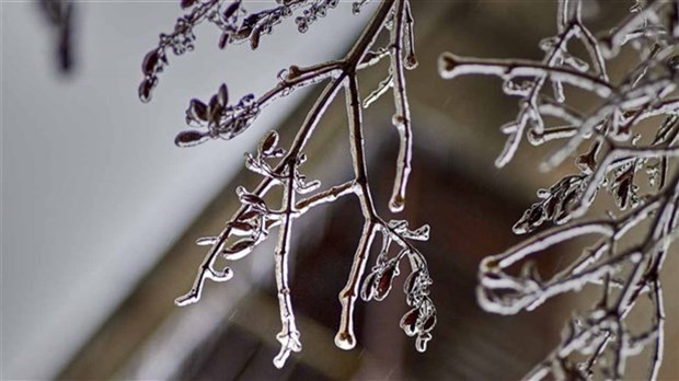 Un début d'année sous la pluie