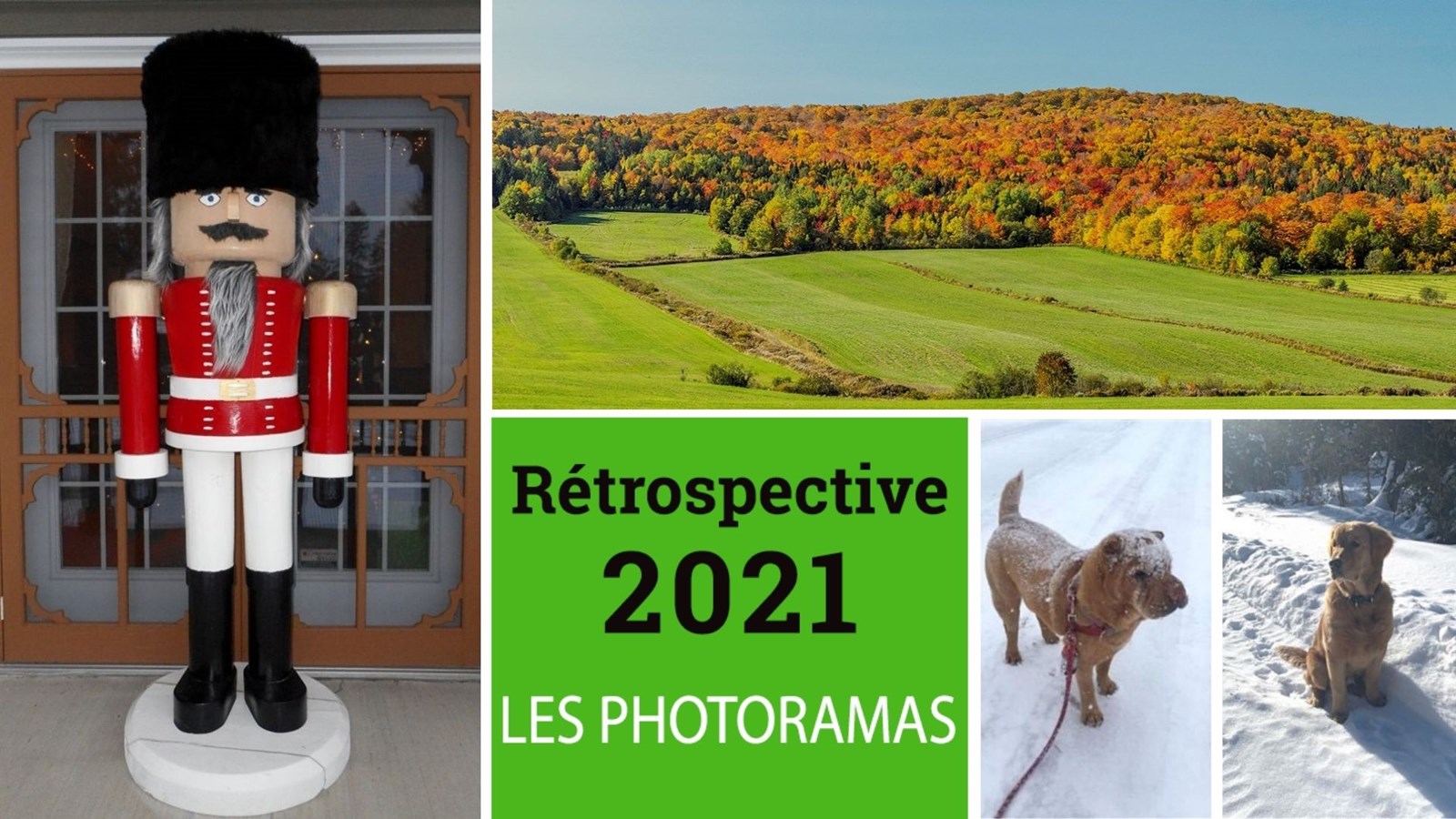 Récapitulatif des photoramas de cette année