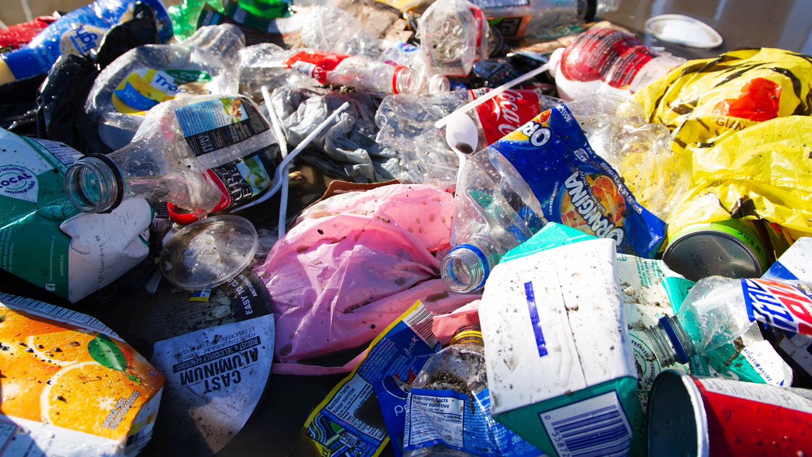 875 000 $ pour réduire le plastique à usage unique, notamment en Chaudière-Appalaches