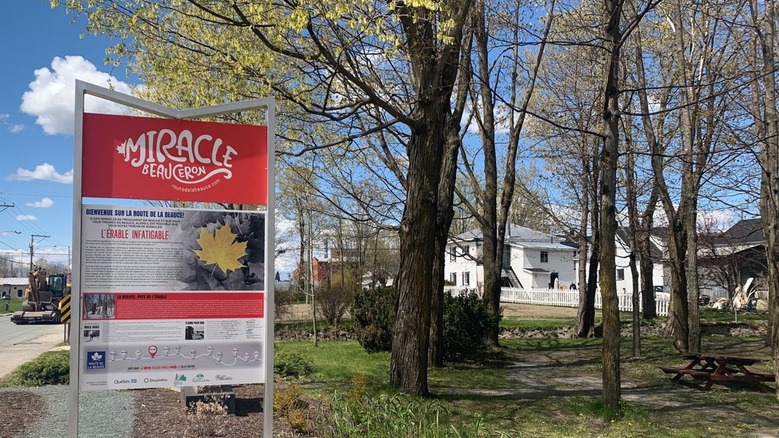 Le Miracle beauceron prend vie le long de la Route de la Beauce