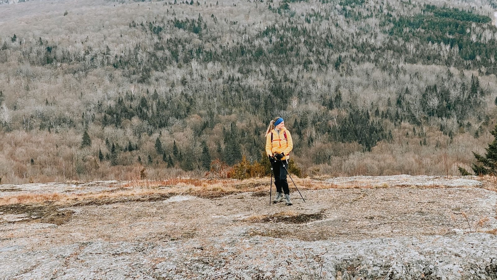 Ariane Paris : six mois plus tard, la grande ascension continue