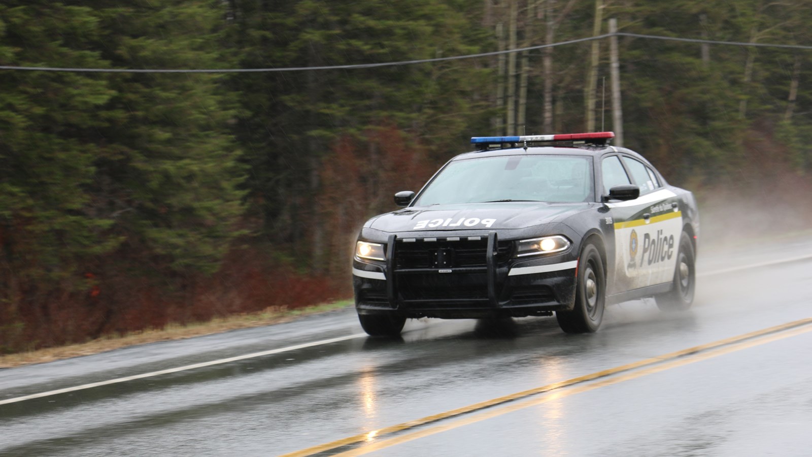 Un conducteur en état d'ébriété n'aide pas sa cause lors de son arrestation