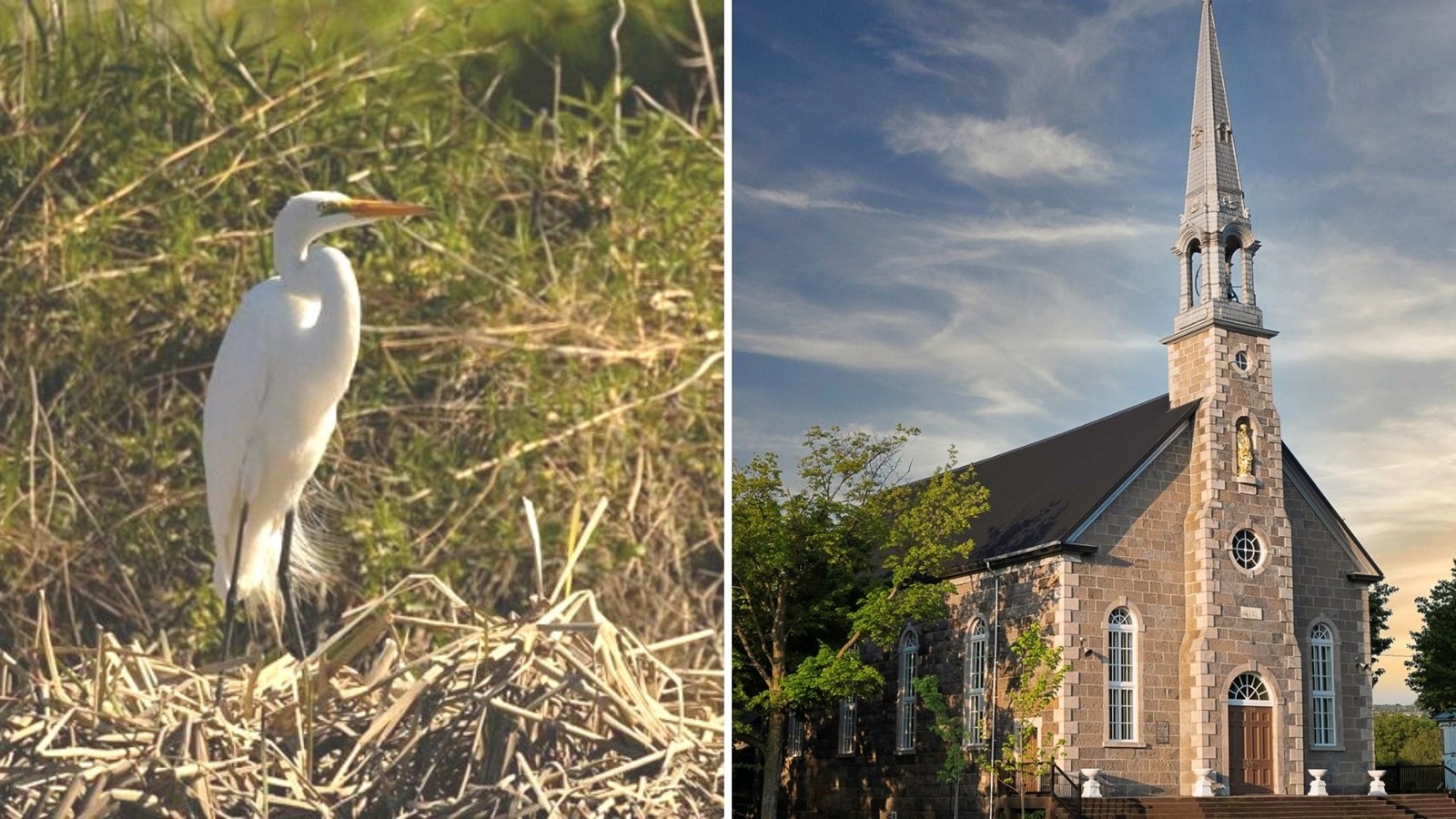 Exposition de photos « Nature en chapelle »