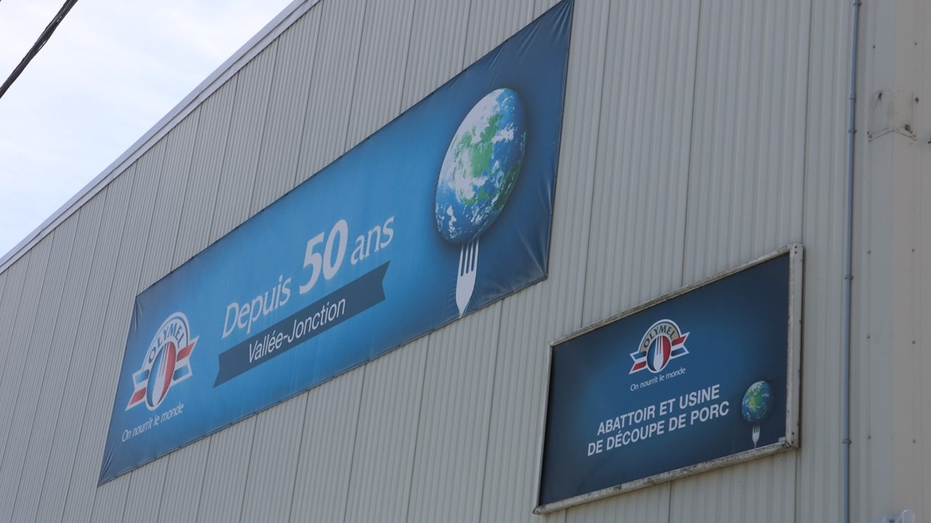 Les négociations reprennent aujourd'hui chez Olymel