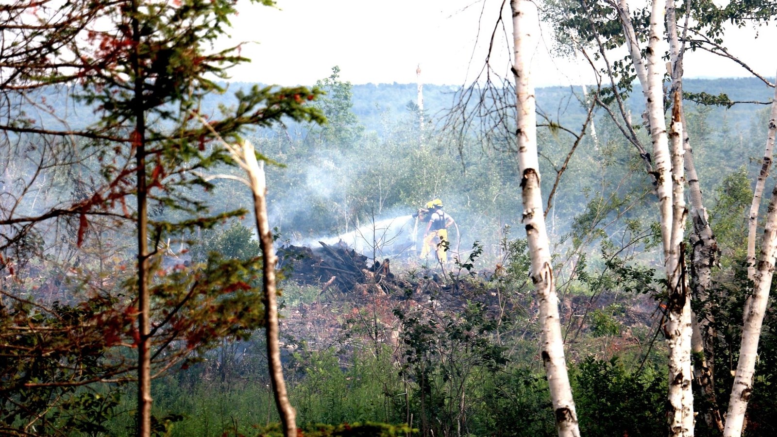 Feu dans une coupe à blanc à Saint-Théophile