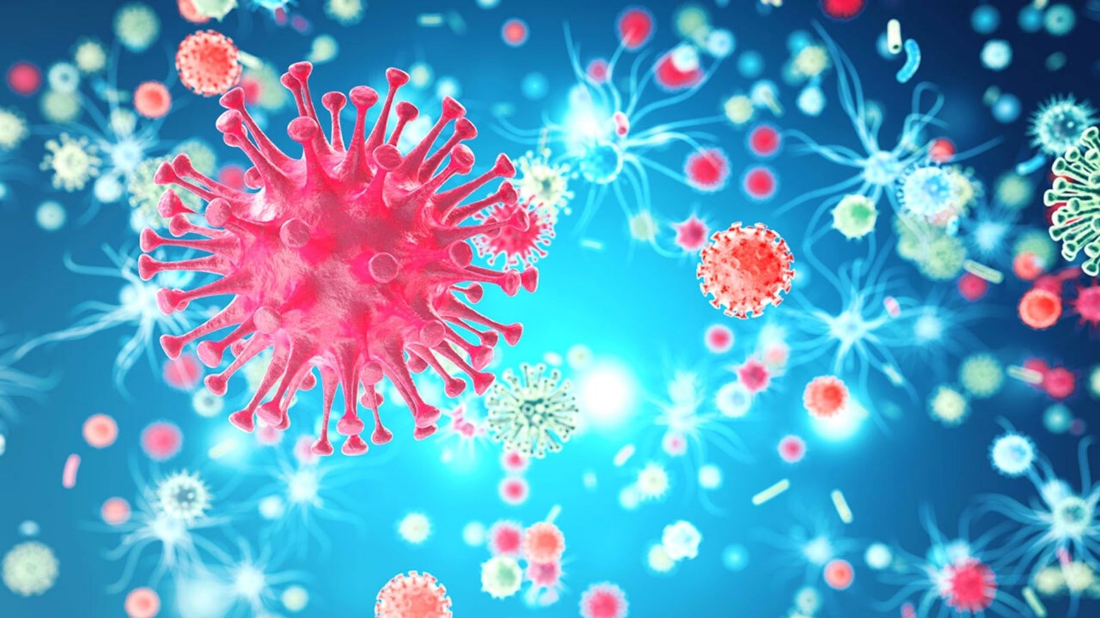 COVID-19 : un seul nouveau cas confirmé en Chaudière-Appalaches