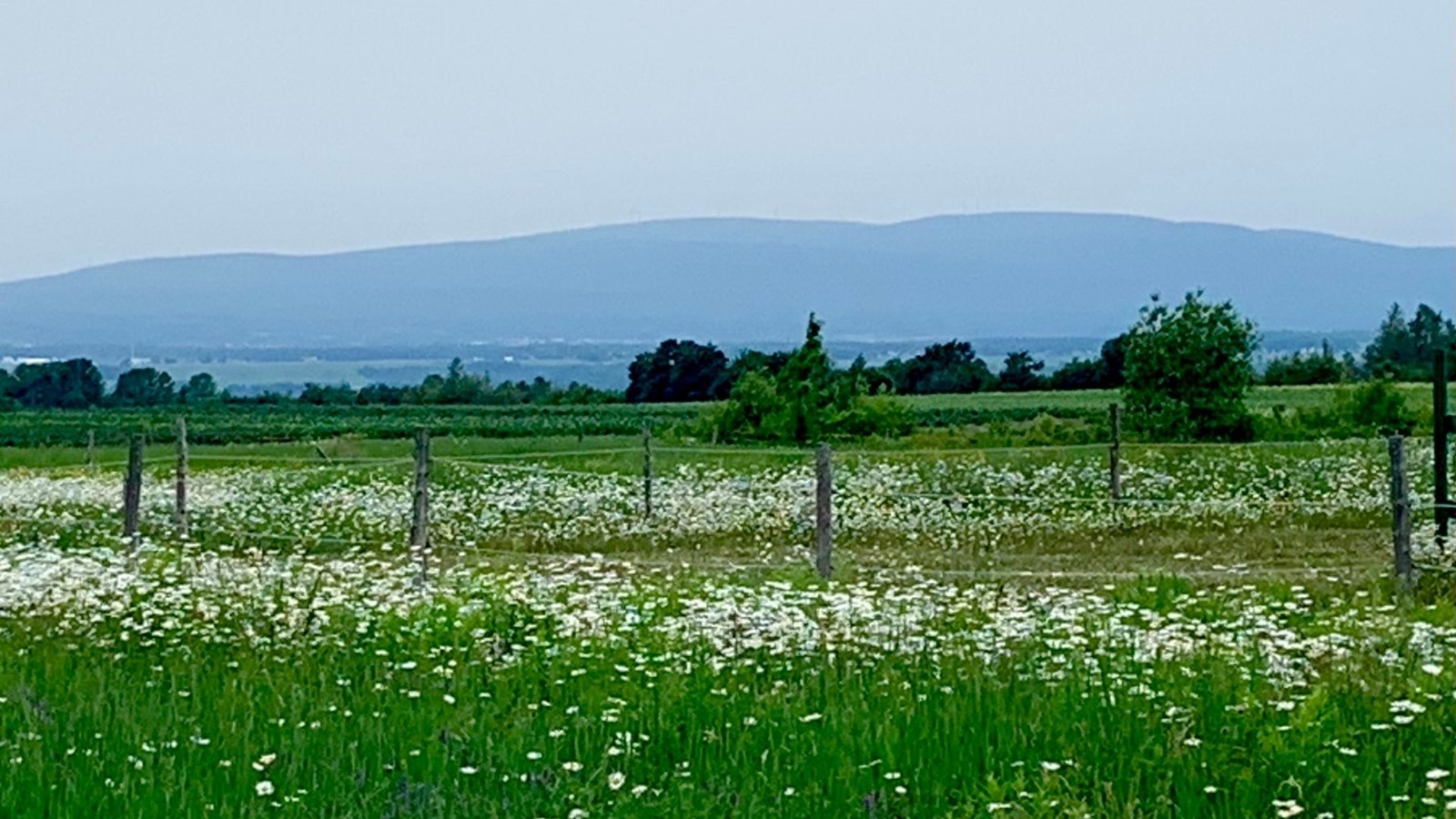Un sondage pour connaître les préoccupations environnementales des citoyens 