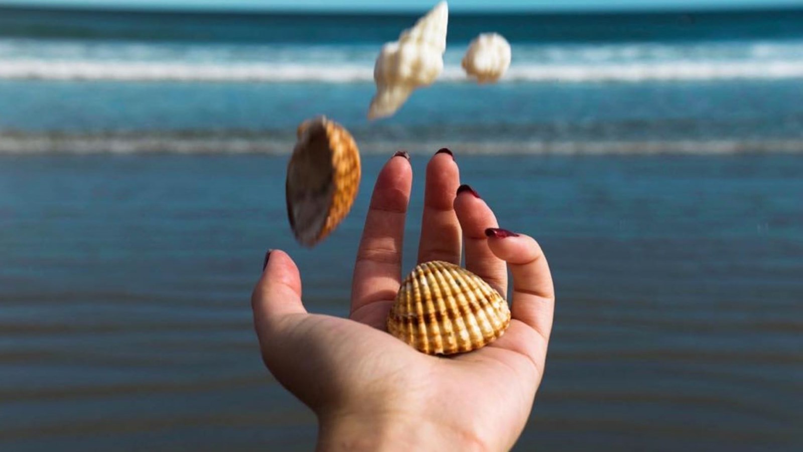 Envoyez-nous des clichés de vos plages de vacances! 