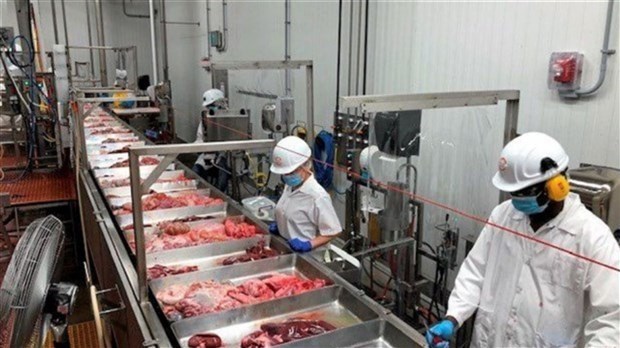 Conflit chez Olymel : un règlement rapide est essentiel