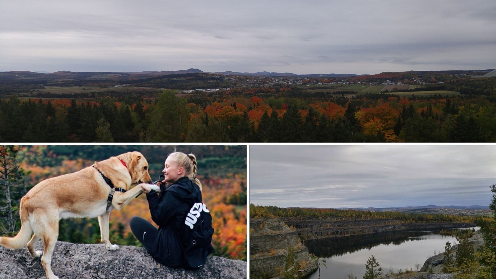 Appel photo : l'automne tout en couleur !