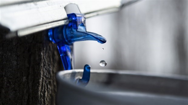 Deux Rendez-vous acéricoles à venir