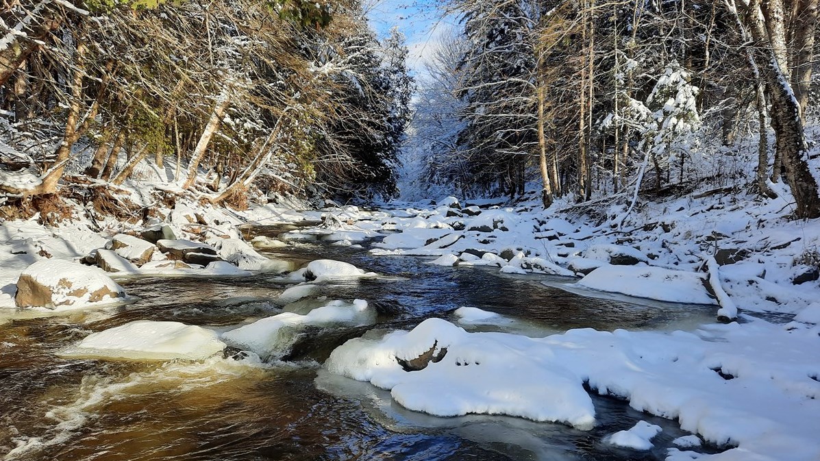 Galerie 1 : l'hiver beauceron