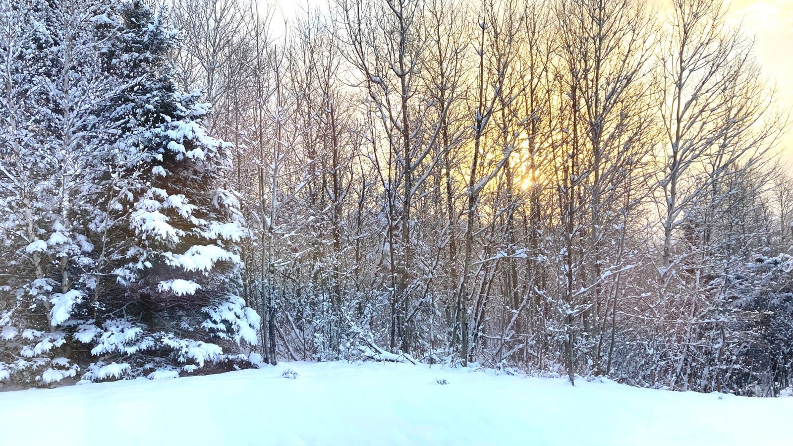 Galerie 2 : l'hiver beauceron