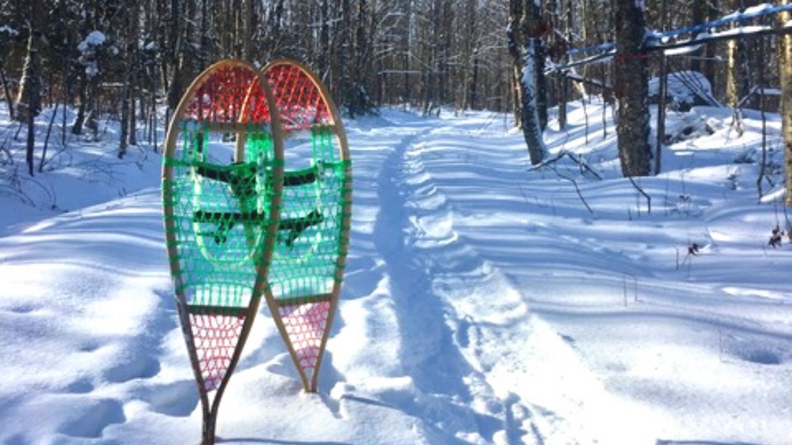 Galerie 6 : l'hiver beauceron