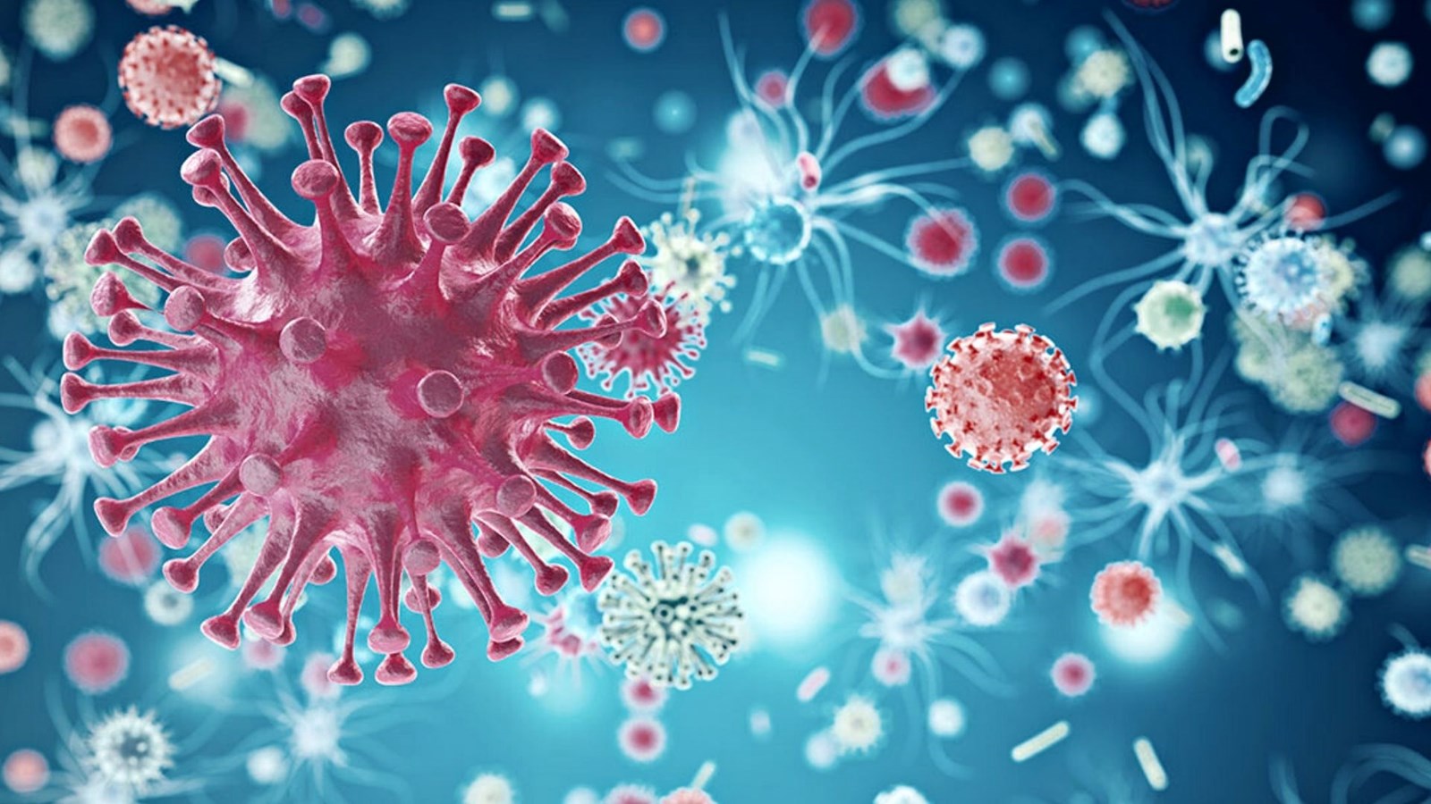 COVID-19 en Chaudière-Appalaches : cinq décès dont trois en Beauce