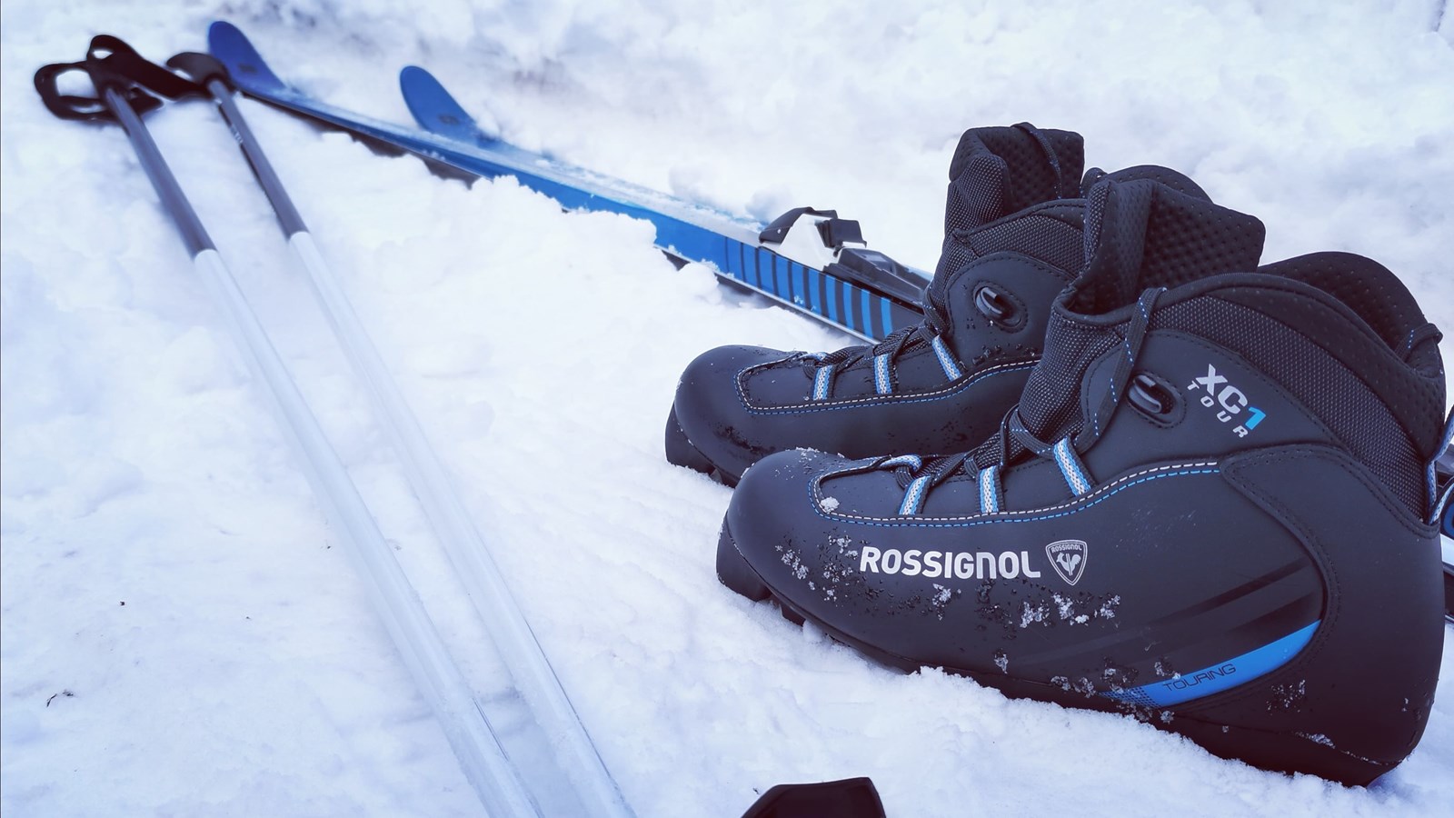 Saint-Joseph-de-Beauce organise une soirée Clair de lune ce vendredi