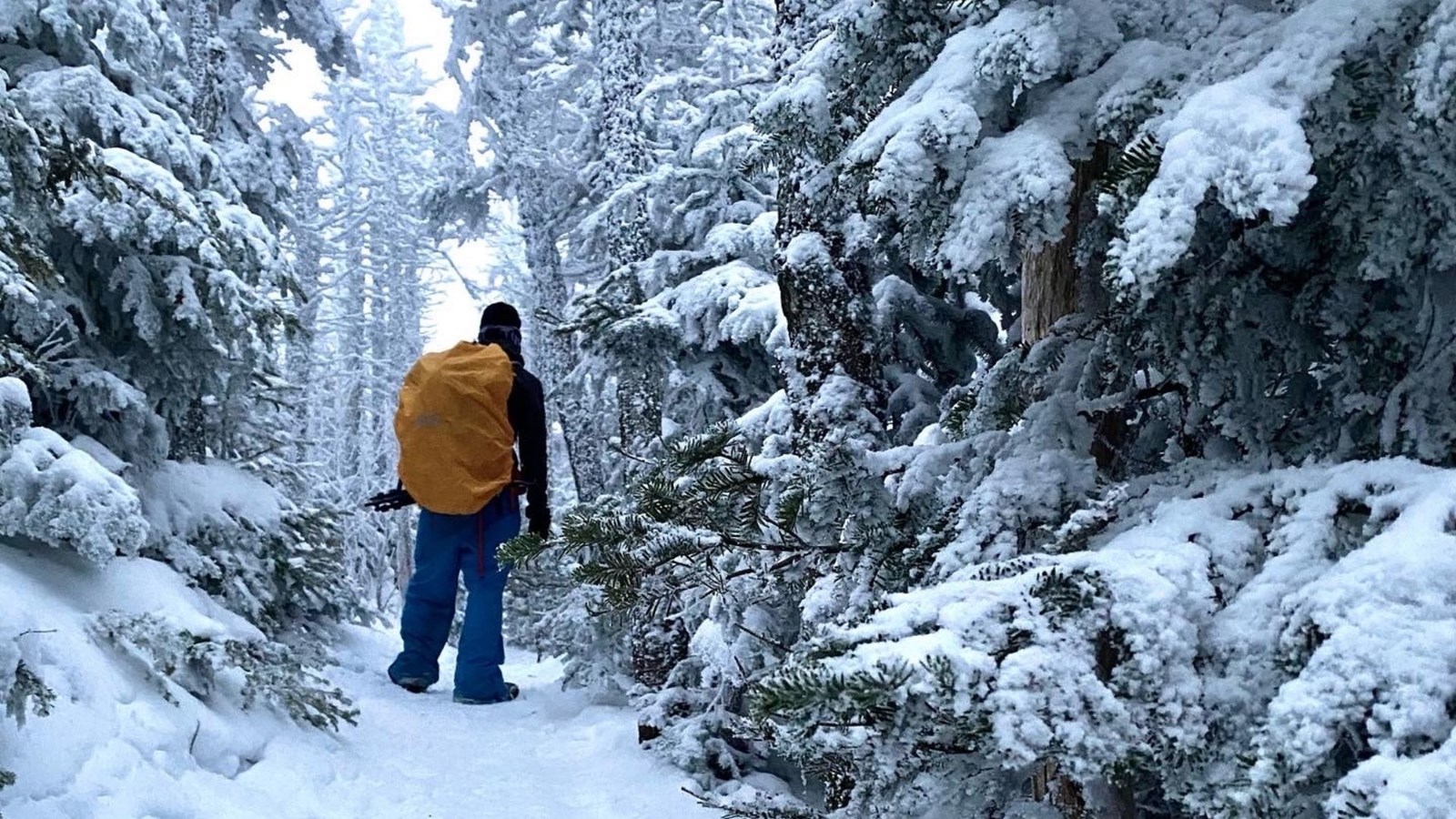 Gopal Ducharme vise à porter la cause du suicide encore plus loin