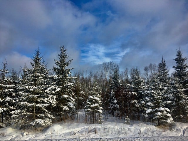 Galerie 9 : l'hiver beauceron