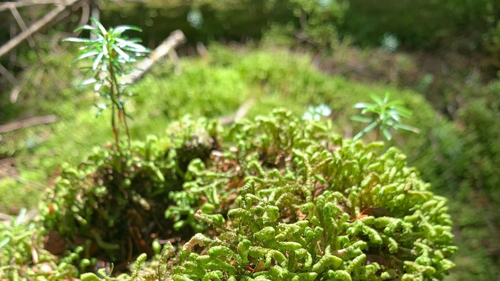 Lancement d’un premier répertoire des ententes de conservation volontaire