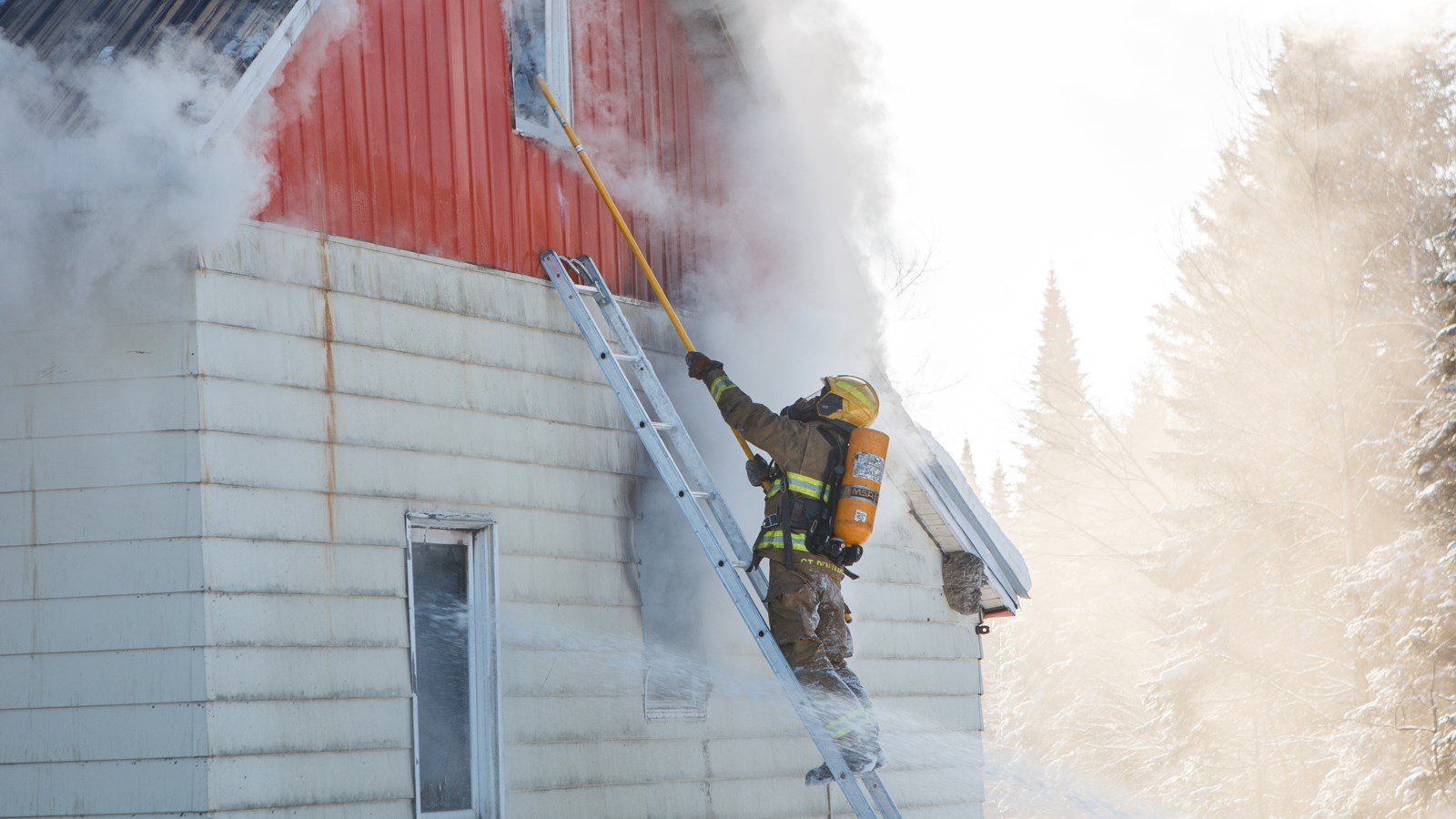 À travers la lentille de notre photojournaliste