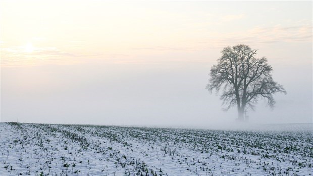 Froid extrême : une journée pour rester à la maison