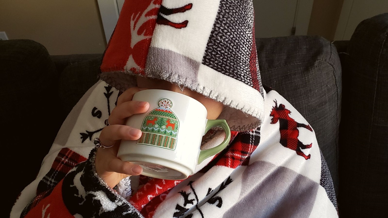 Sondage maison: près de 40% des répondants préfèrent passer l'hiver au chaud