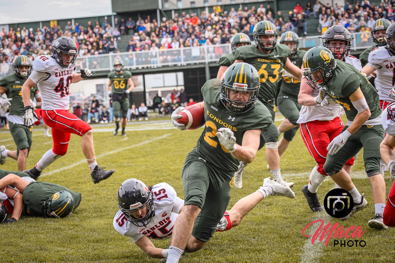 Une victoire pour les Condors contre les Gaulois