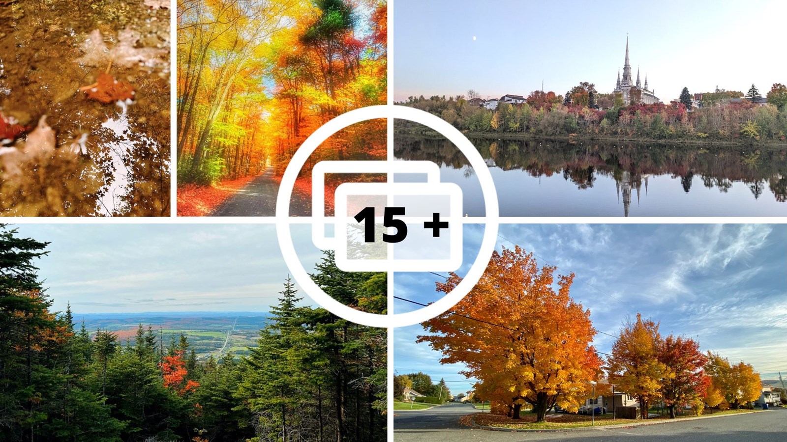 Dernière galerie: la Beauce en couleurs