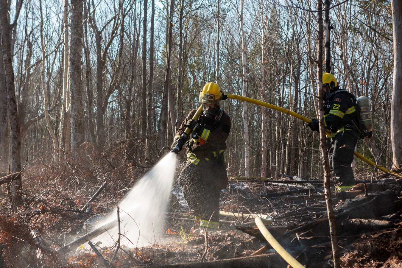 Une très faible superficie des forêts québécoises brûlée cette année