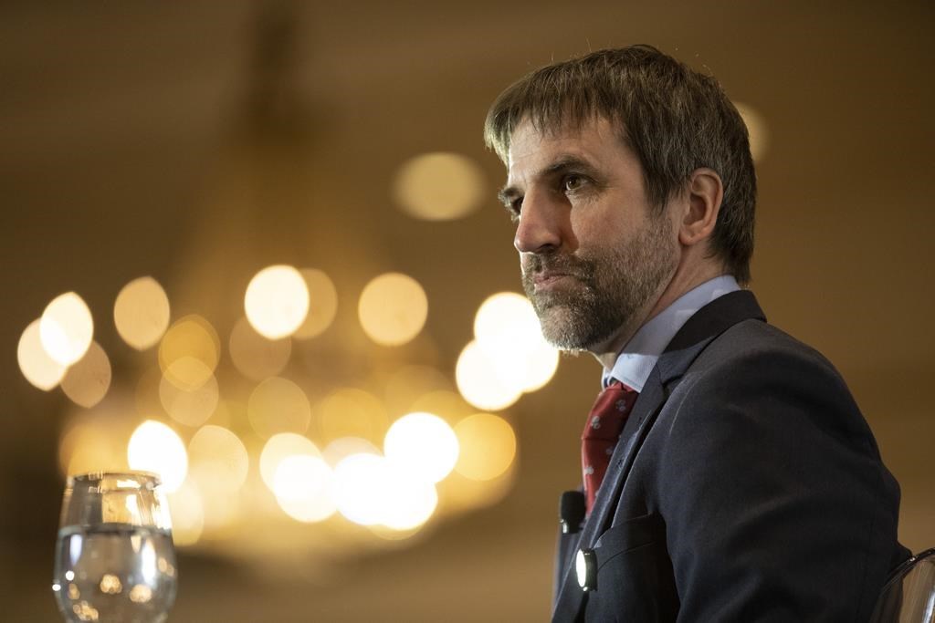 Steven Guilbeault dresse un bilan mitigé des efforts du Québec et du fédéral