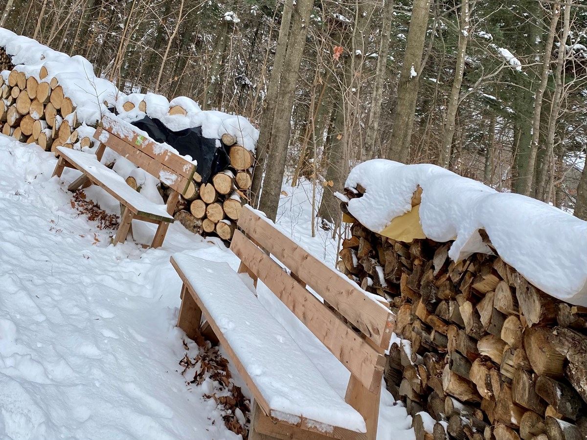 Galerie 1: la Beauce enneigée