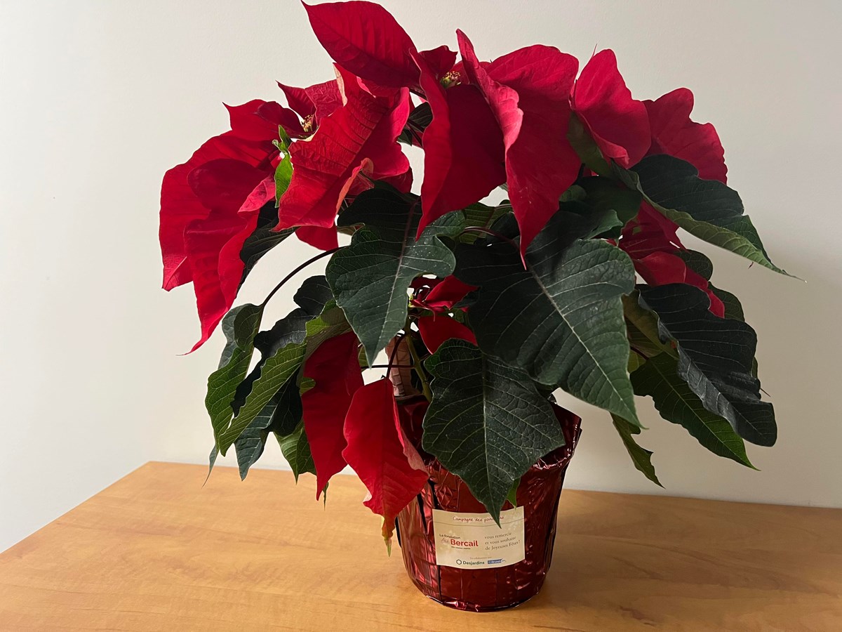 Un total de 17 500$ remis à la Fondation Au Bercail