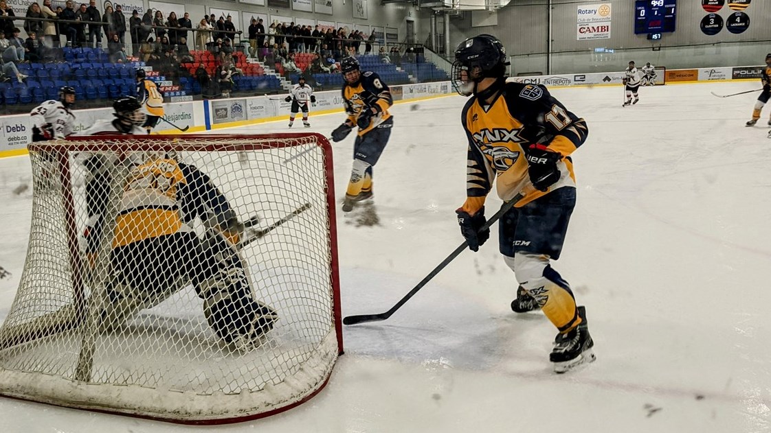 Cinq victoire et trois défaites pour les équipes des Lynx