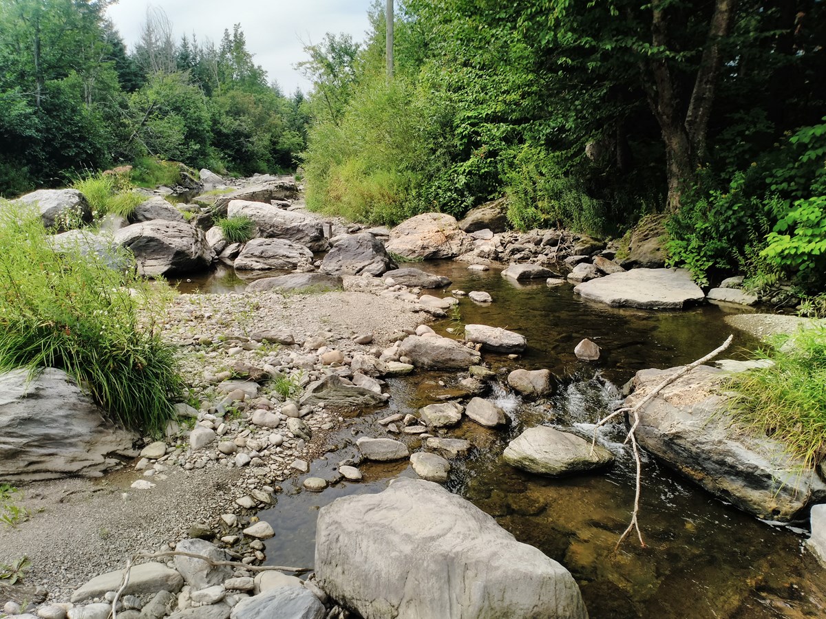 Améliorer l'état de la Rivière des fermes: une première étape franchie