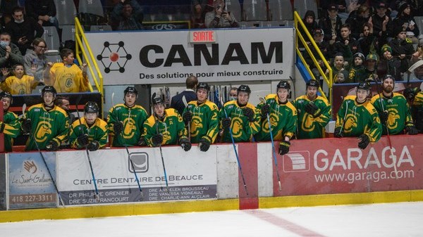 Une 29e victoire cette saison pour les Condors