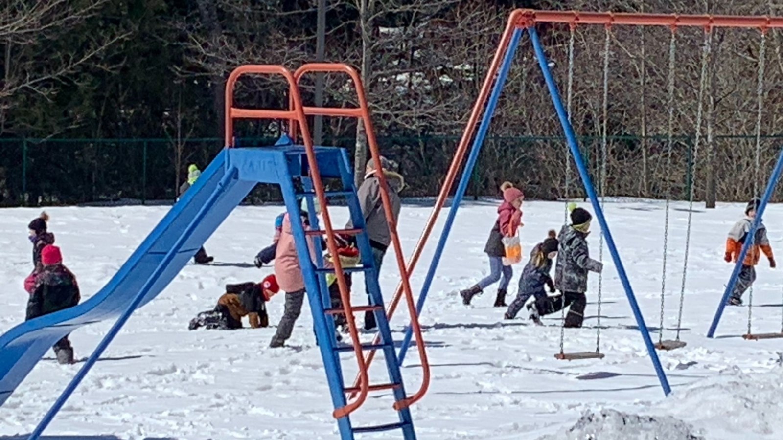 Une belle réussite pour la chasse aux cocos de Saint-Simon-les-Mines