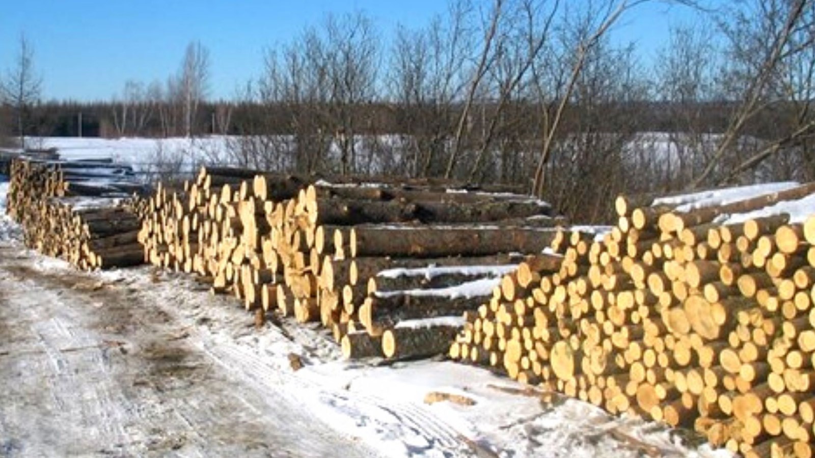 Association des propriétaires de boisés de la Beauce: retour des AGA en présentiel