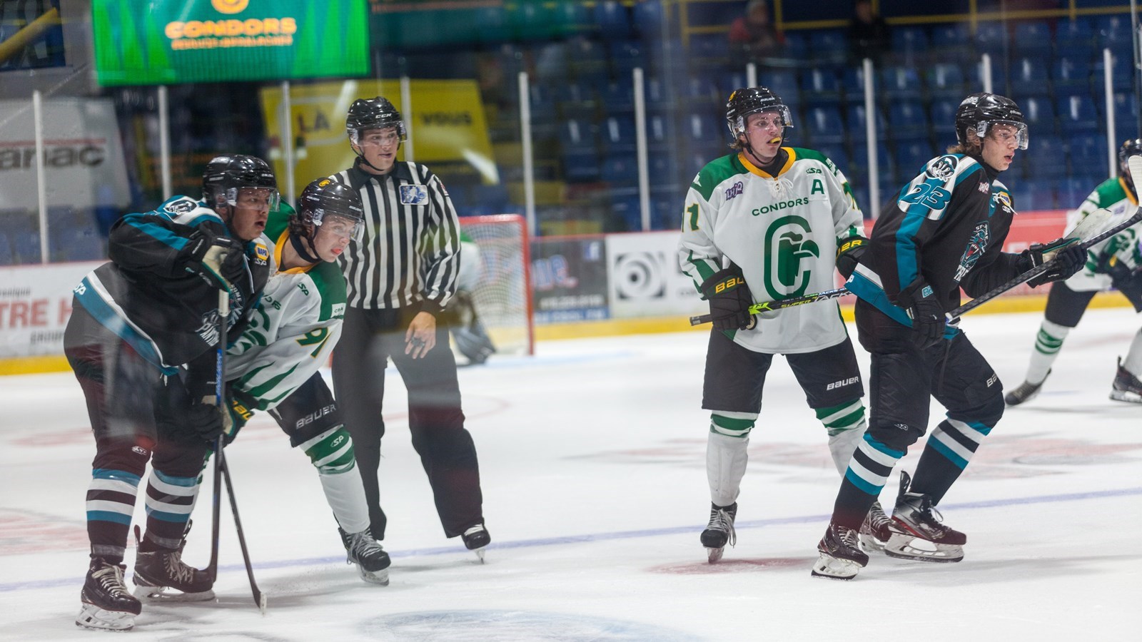 Hockey: les Condors en route pour la demi-finale