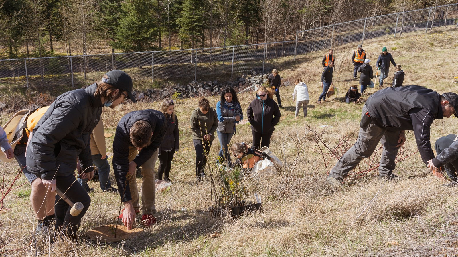 Une activité de reboisement initiée au Cégep Beauce-Appalaches