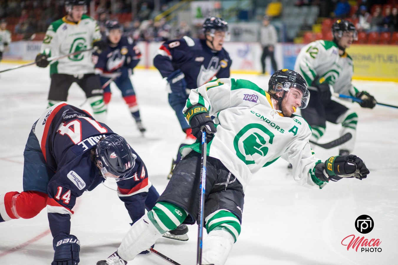 Blanchissage des Condors au 2e match de la finale
