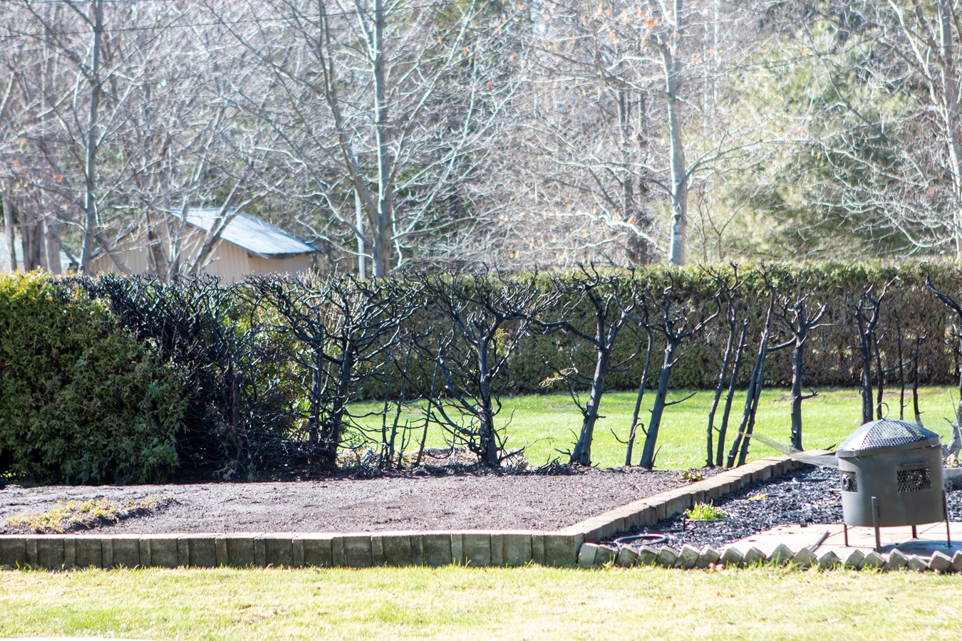 Feu de haie au Lac Veilleux