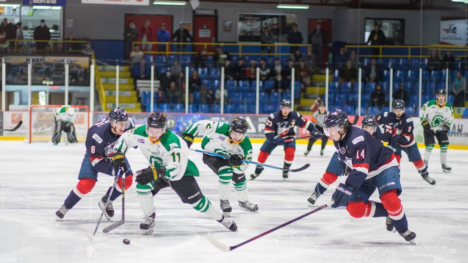 Soutenez les Condors vers la victoire ce soir!