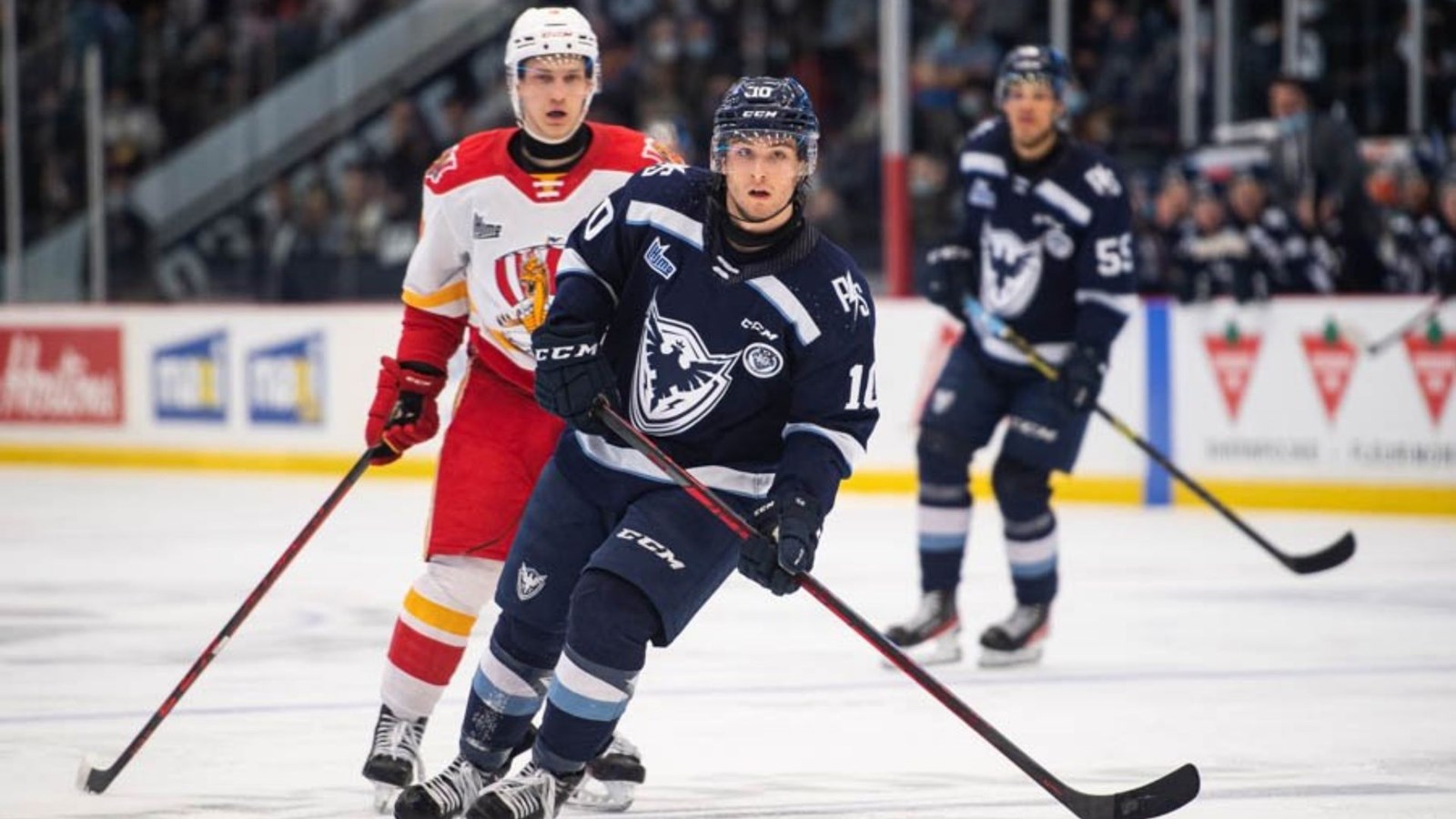 Joshua Roy transporte son équipe en quarts de finale