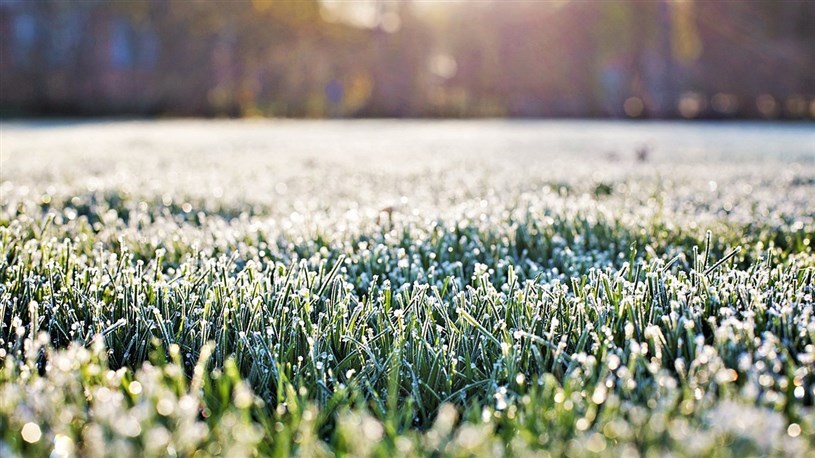 Risque de gel cette nuit en Beauce