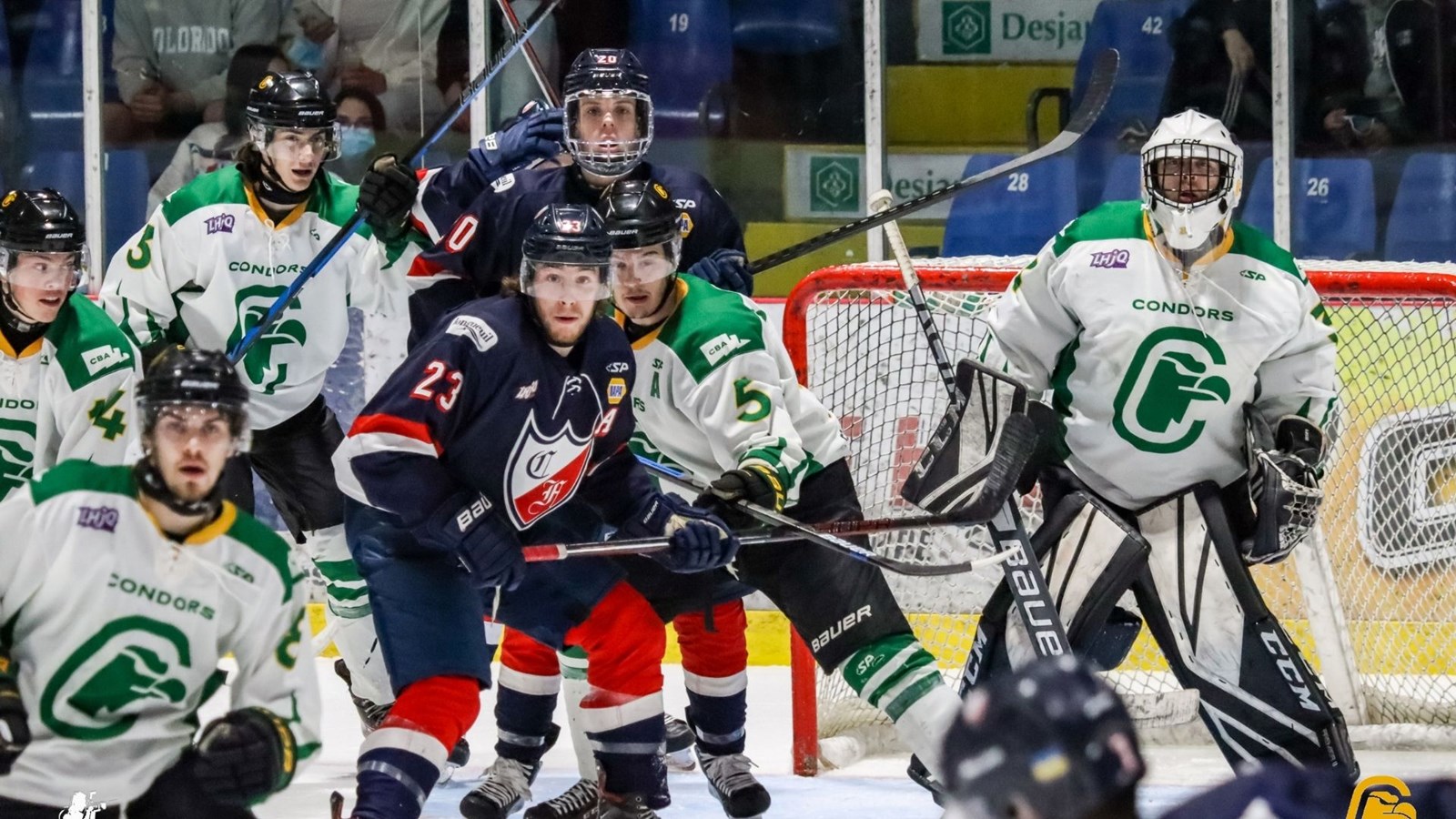 Plusieurs Condors en nomination au gala Méritas de la LHJAAAQ